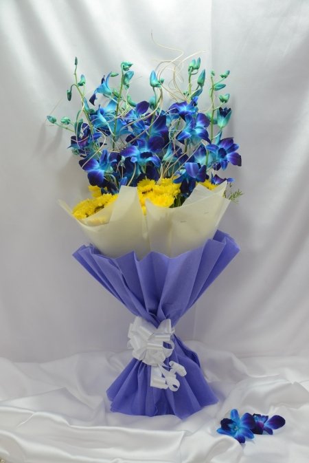 Royal Blue Orchids...