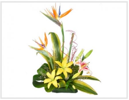 Arrangement of Lilies and Birds of Paradise