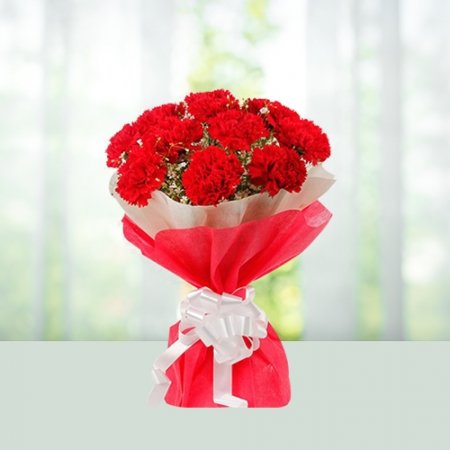 12 Red Carnations...