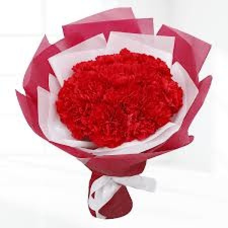 Carnations Love Bouquet